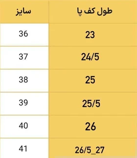 کفش fly