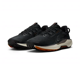 کفش دویدن Nike REACTX PEGASUS TRAIL 5 PC_DV3864-006