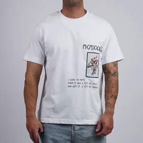 تیشرت یقه گرد چاپی کد 171187