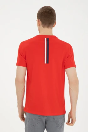 تیشرت مردانه اورجینال assn u.s.-polo-assn.