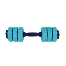 دمبل گرد قابل تنظیم وزن 3 کیلوگرم رادیس فیت مدل DVP 3-0500 one handle