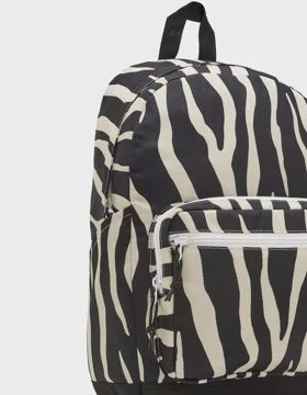 Converse Classic Backpack