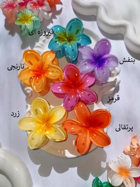 کلیپس پلومریا متوسط