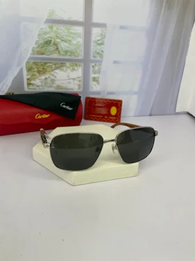 عینک آفتابی مردانه کارتیر مدل CARTIER CT0280 (فریم نقره ای)