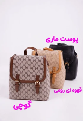 کیف کوله اسپرت دو سگک