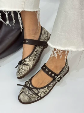 کالج ماری 2624