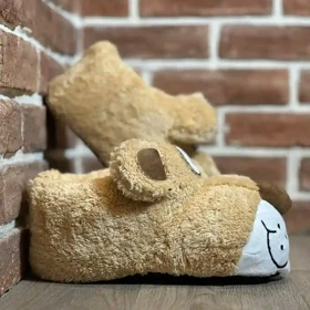 پاپوش تدی