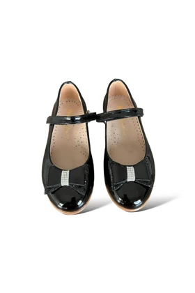 کالج بچگانه liger liger