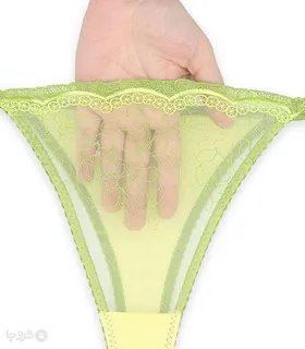 ست شورت و سوتین توری فنردار Jina ژینا گلدوزی طرح 1 کد 1006