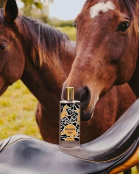عطر ممو آیریش لدر Memo Irish Leather