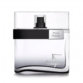 ادوتویلت مردانه سالواتور فراگامو مدل F By Ferragamo Black حجم 100ml
