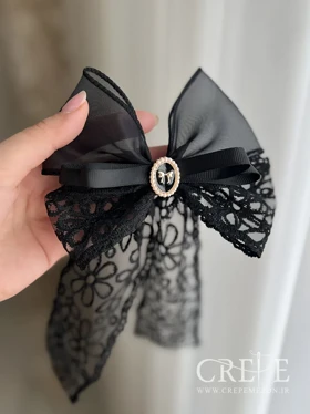 گیره پاپیون قاب پاپیون