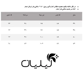 شومیز زنانه آلفونسی مدل W2130002SH