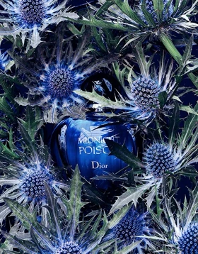عطر دیور میدنایت پویزن-Dior Midnight Poison