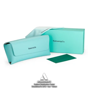 کیف عینک تیفانی اند کو Tiffany&Co Glasses Case T01