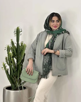 پالتو یقه دال بردی (41)