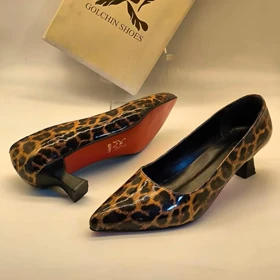 مجلسی پلنگی