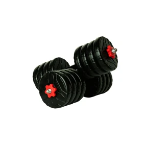 دمبل رادیس فیت مدل DVP-12-1500 وزن 12 کیلوگرم بسته 2 عددی