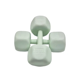 دمبل رادیس فیت مدل RPHF-6000 وزن 6 کیلوگرم بسته دو عددی