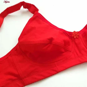 سوتین شیردهی بدون فنر قرمز پانیذ کد_66339