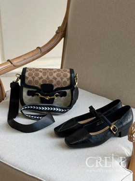 کیف طرح کوچ