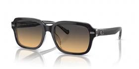 عینک آفتابی کوچ Coach HC8388U (مشکی)