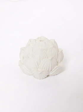 جاعودی لوتوس