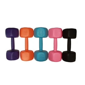 دمبل رادیس فیت مدل RPHF-4000 وزن 4 کیلوگرم بسته دو عددی