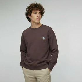 دورس یقه گرد داخل سوئیت (906) POLORALPLAUR