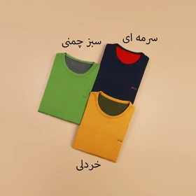 تیشرت مردانه رنگی