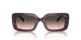 عینک آفتابی کوچ Coach HC8380U