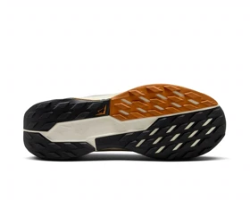کفش دویدن Nike W PEGASUS TRAIL 5 GTX PC_FQ0912-005