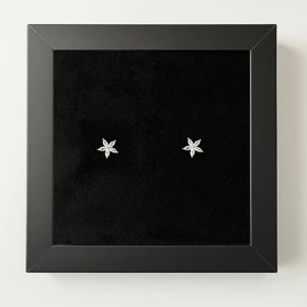 پیرسینگ نقره گوش طرح گلبرگ نگین‌دار (جفت)