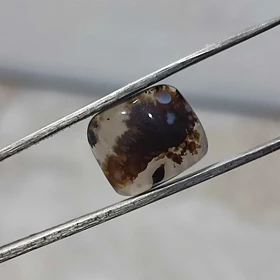 عقیق شجر قائن اصل کد 14