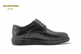 کفش مردانه روزمره/طبی/رسمی چرم طبیعی si193