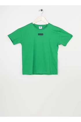 تیشرت مردانه اورجینال assn u.s.-polo-assn.