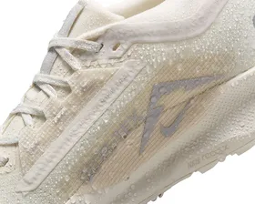 کفش های دویدن در تمام زمین Nike W Pegasus Trail 5 Gtx PC_FQ0912-102