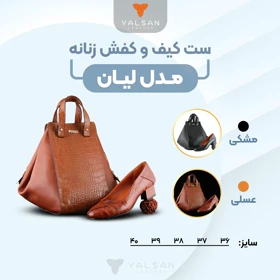 ست کیف و کفش زنانه چرم یلسان مدل لیان کد 906- AYSU-GC
