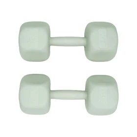 دمبل رادیس فیت مدل RPHF-6000 وزن 6 کیلوگرم بسته دو عددی