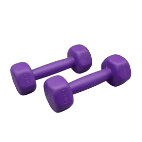 دمبل بدنسازی رادیس فیت وزن 0.5 کیلو گرم بسته دو عددی