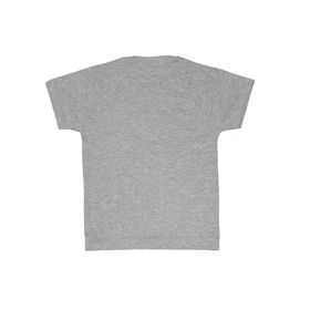 ست تیشرت آستین کوتاه و شلوارک پسرانه مدل PJ1075