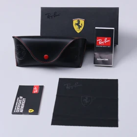 کیس اورجینال عینک برند RAYBAN کد270004