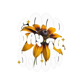 استیکر پارچه و لباس پاد آفرین مدل کلمه انگلیسی کد 4397