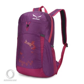 کوله حمله SALEWA 25 لیتر