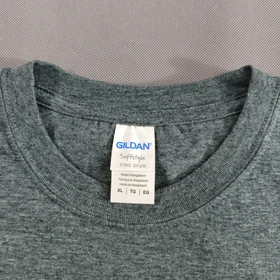 SIZE L-XL تیشرت اورجینال برند معتبر Gildan امریکا مدل RISE UP