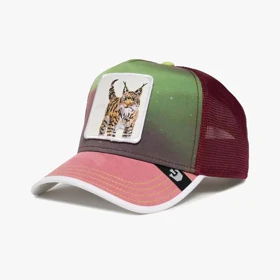 کلاه گورین مدل GOORIN Hyt the Lynx