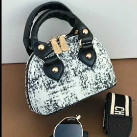 کیف مینی بگDior وارداتی