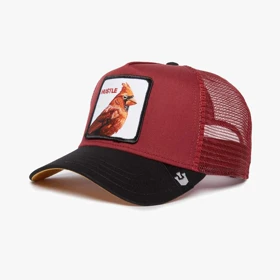 کلاه گورین مدل GOORIN Cardinal Fan