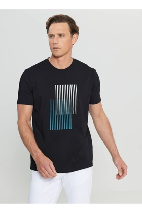 تیشرت مردانه اورجینال آلتین ییلدیز کلاسیک altinyildiz-classics