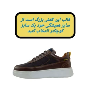 کفش کتانی روزمره/راحتی چرم طبیعی